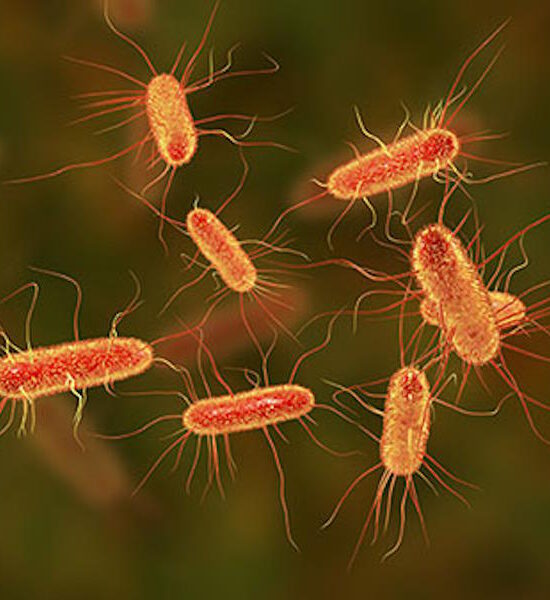 crohn's disease